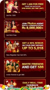pkplus game