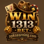 win1313.bet.