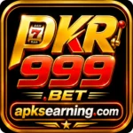 pkr999.com