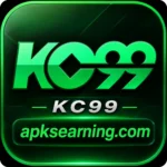 kc99.com
