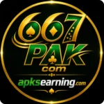 667PAK.com