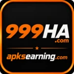 999ha.com