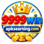 9999win.com
